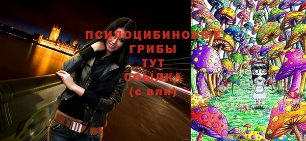 шишки Кострома