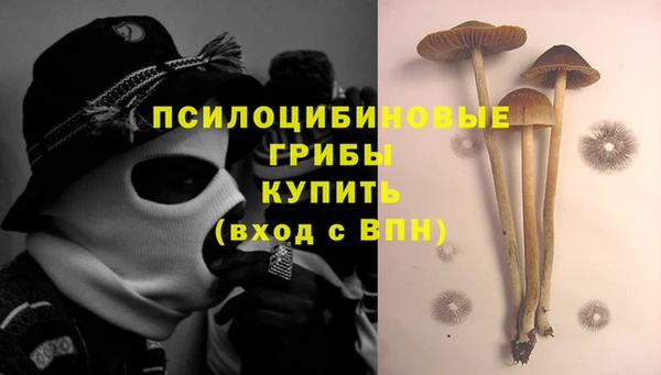 не бодяженный Мурманск