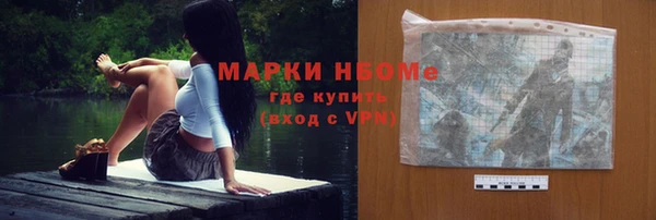 шишки Кострома
