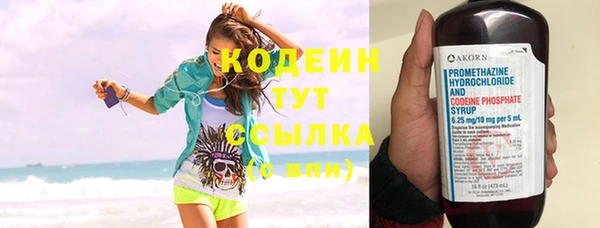 шишки Кострома