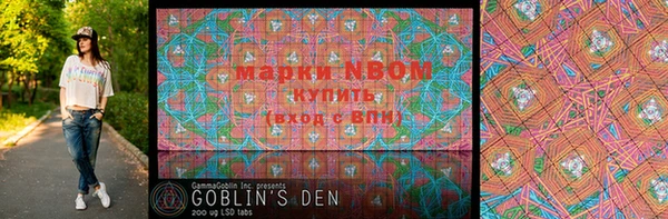 шишки Кострома