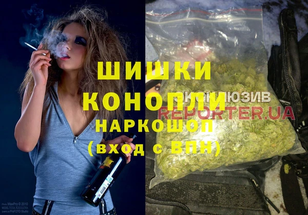 шишки Кострома