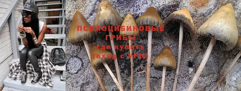 Псилоцибиновые грибы ЛСД  darknet формула  Волгоград 